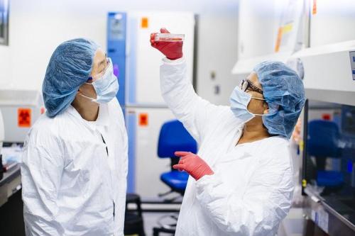 Two researchers observe a sample in a UCLA lab.