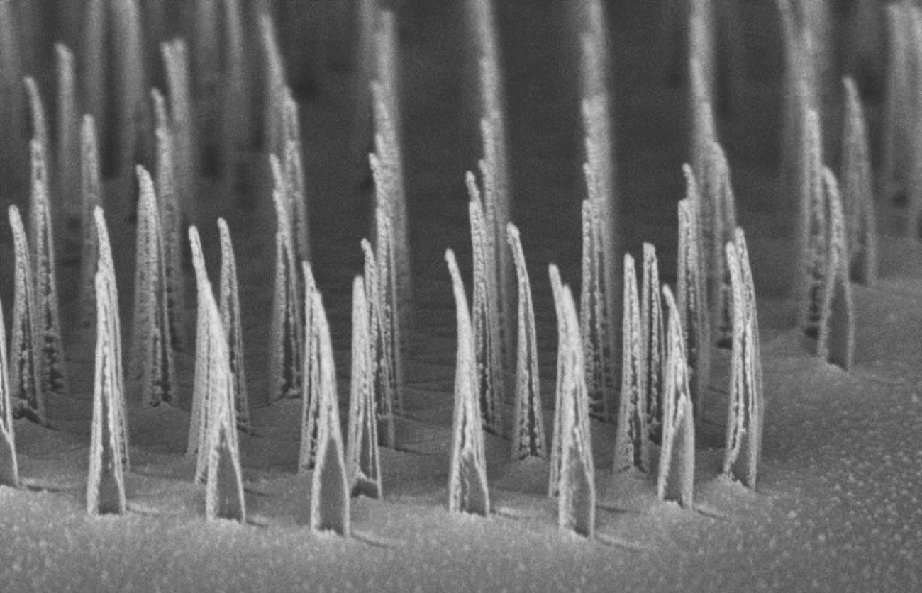 nanospears engineered for gene therapy