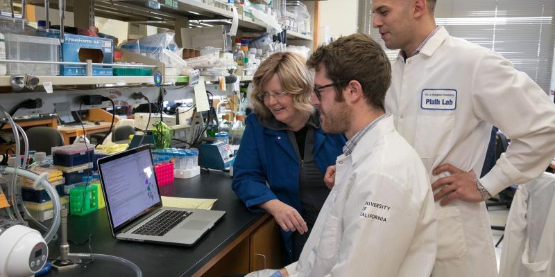 Kathrin Plath and two trainees read the contents of a laptop in a UCLA lab.