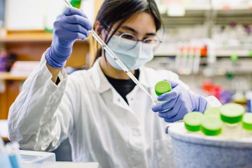 A research scientist pipettes liquid from a test tube at UCLA